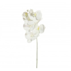 Artificial Phalaenopsis Orchid Pure White 77cm - O020 J4