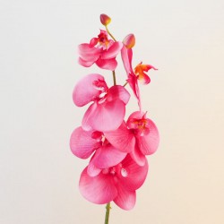 Artificial Phalaenopsis Orchids Pink 75cm - O022 K3