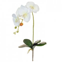 Artificial Phalaenopsis Orchids Plant White without Pot 75cm - O152 J4