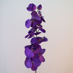 Artificial Phalaenopsis Orchids Purple Passion 92cm - O101 J4