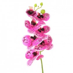 Artificial Phalaenopsis Orchid Pink with Burgundy Freckles 78cm - O004 LL4