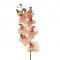 Artificial Phalaenopsis Orchids Pink Cream 68cm - O131 K1