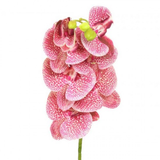 Artificial Phalaenopsis Orchid Pink Freckles 78cm - O005 KK4