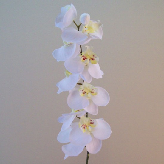 Artificial Phalaenopsis Orchids White 92cm - O103 K3
