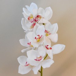 Real Touch Artificial Cymbidium Orchid Cream 70cm - O018 K4