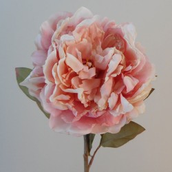 Antique Peony Pink | Faux Dried Flowers - P284