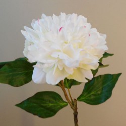 Large Peony Cream with a hint of Hot Pink 55cm - P239 S1