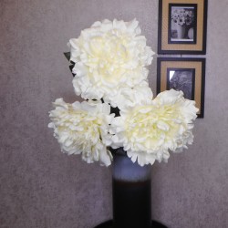 Artificial Giant Floppy Peony Flowers Ivory 75cm - P012 K3