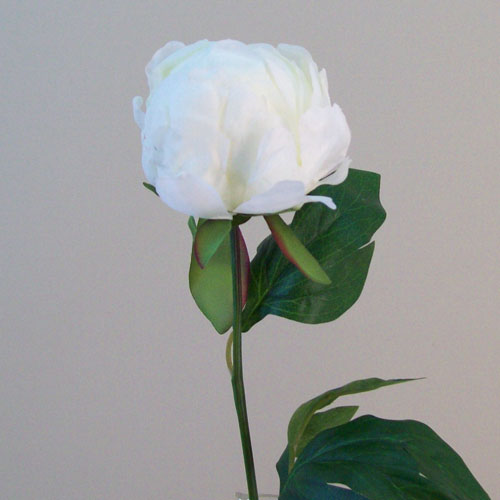 Artificial Roses Real Touch Cream 43cm