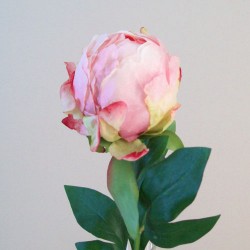 Artificial Peony Buds Large Pink 45cm - P153 N3