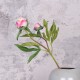 Real Touch Peony Buds Pink 48cm - P039 S3