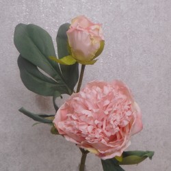 Antique Peony Pale Pink | Faux Dried Flowers 50cm - P205 LL3