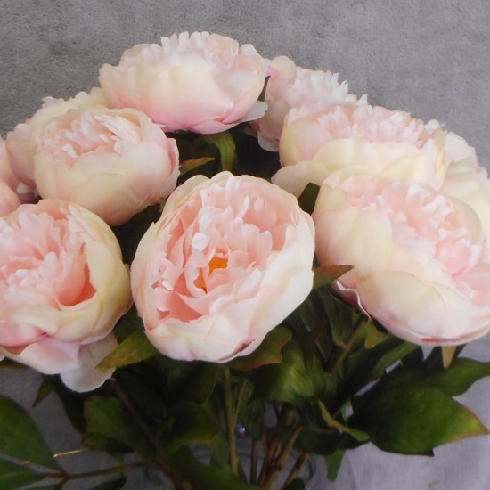 Artificial Peony Flowers Candy Crush Pink 62cm - P191 