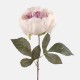 Artificial Peony Flowers Cream and Mauve 42cm - P084 I4