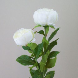 Double Peony Flowers Cream 79cm - P144 L4