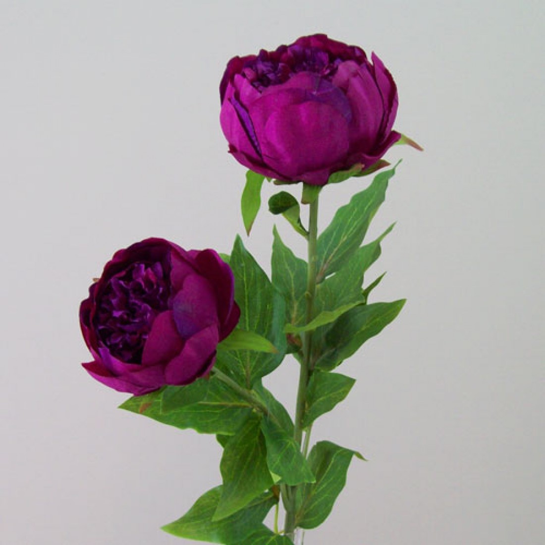 Double Peony Flowers Magenta 79cm | Artificial Flowers