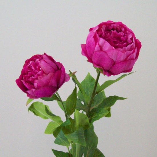 Double Peony Flowers Mid Pink 79cm - P143 L3