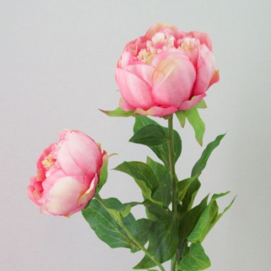 Double Peony Flowers Pink Peach 79cm - P146 K3