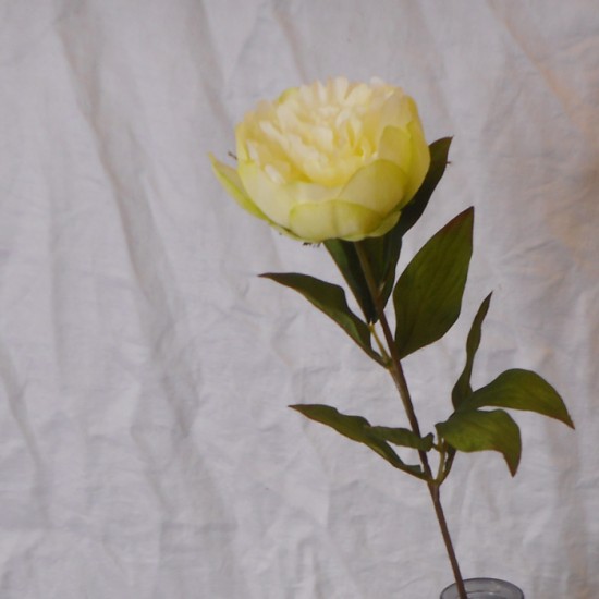 Peony Flowers Lemon 63cm - P117 M2
