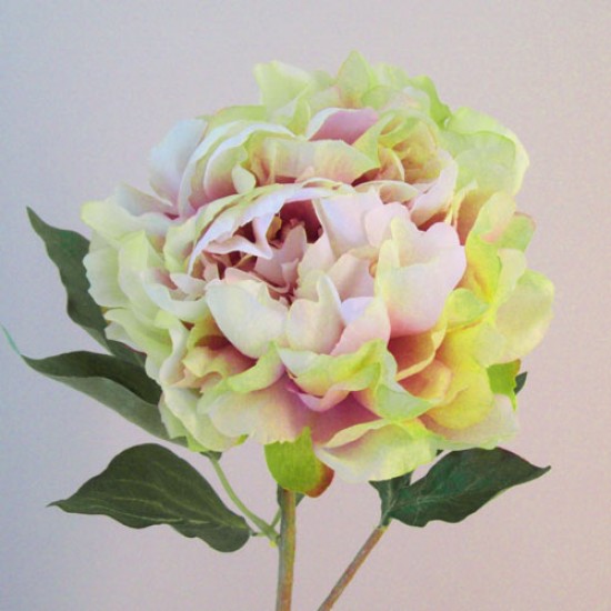 Artificial Peony Flowers Pink Green 55cm - P011 O4