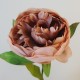 Peony Flowers Russet 62cm - P100 GG2