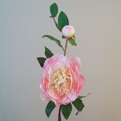 Artificial Tree Peony Flowers Pale Pink 59cm - P181 L2