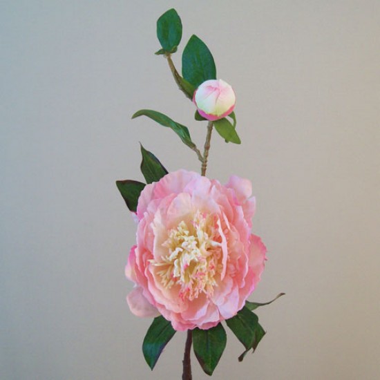 Artificial Tree Peony Flowers Pale Pink 59cm - P181 M2