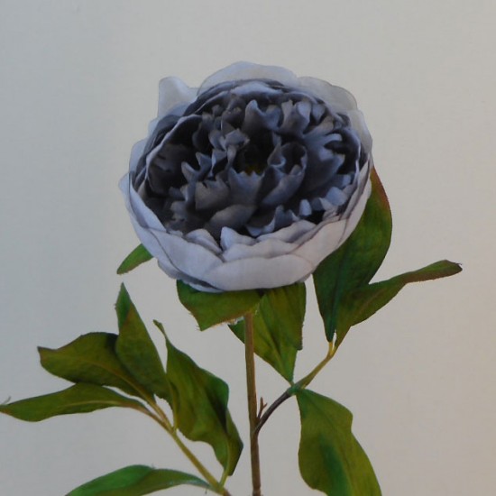 Balmoral Peony Flowers Blue Grey 60cm - P118 K4