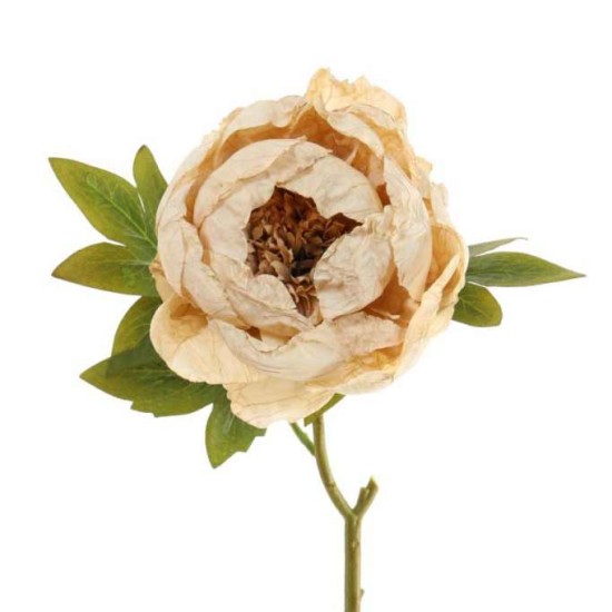Antique Peony Vintage Oyster 48cm | Faux Dried Flowers - P041 K3
