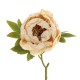 Antique Peony Vintage Oyster 48cm | Faux Dried Flowers - P041 K3
