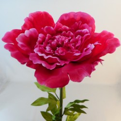 Giant Artificial Peony Hot Pink | VM Display Prop - P108 DD3