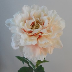 Large Artificial Peony Blush Pink 70cm - P138 BX8