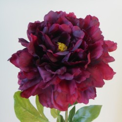 Peony Flowers Burgundy 70cm - P215 BX8