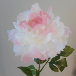 Large Artificial Peony Cream Pink 70cm - P139 BX8