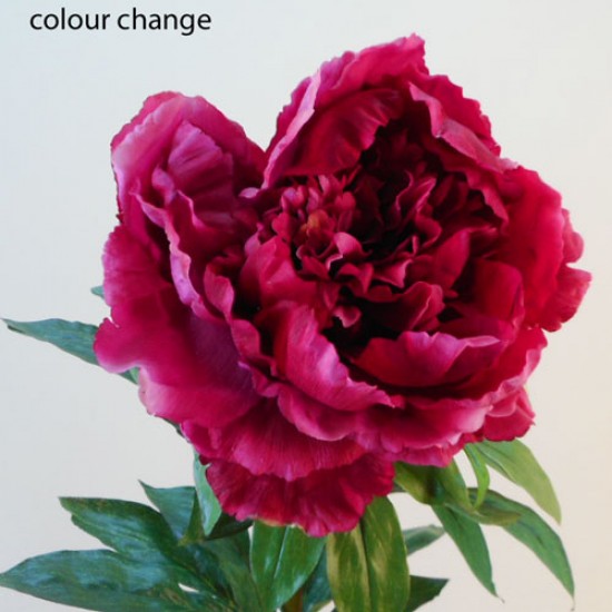 Real Touch King Peony Magenta 89cm - P079 L4 
