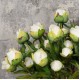 Real Touch Peony Buds Cream 48cm - P037 M2