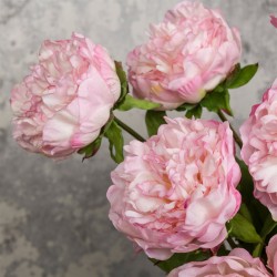 Real Touch Peony Flowers Pink - P061 LL2