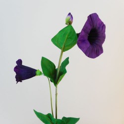 Artificial Morning Glory Bindweed Vines Purple Flowers 72cm - M063 