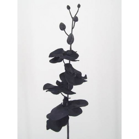 Artificial Phalaenopsis Orchid Black 90cm - J004 J1