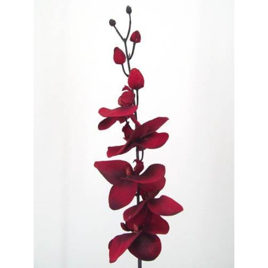 Artificial Phalaenopsis Orchid Blood Red 90cm - J015 