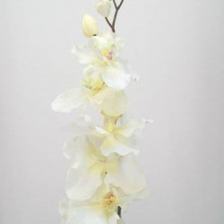 Artificial Phalaenopsis Orchid Cream 90cm - J025 J4