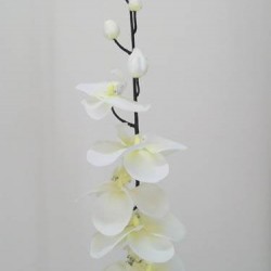 Artificial Phalaenopsis Orchid White and Black 90cm - J010 K4