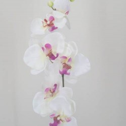 Artificial Phalaenopsis Orchids White and Pink 75cm - J003 K4