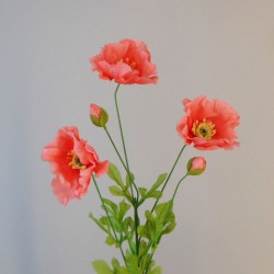 Coral Poppies 70cm - P126 J1