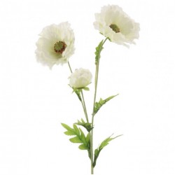 Wild Poppies White 70cm - P013 L2