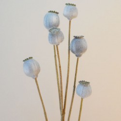 Artificial Poppy Seed Heads 76cm - P078 K2