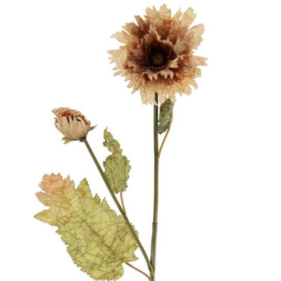 Antique Ruffled Poppy Cappuccino 75cm | Faux Dried Flowers - P035 J1