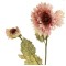 Antique Ruffled Poppy Dusky Pink 75cm | Faux Dried Flowers - P048 K3