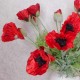 Oriental Silk Poppy Scarlet 70cm - P008 M4