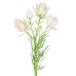 Artificial Blushing Bride Protea Flowers Blush Pink 55cm - P102 M3